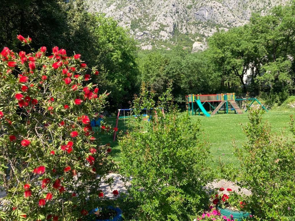 Apartments Villa Eden Котор Экстерьер фото