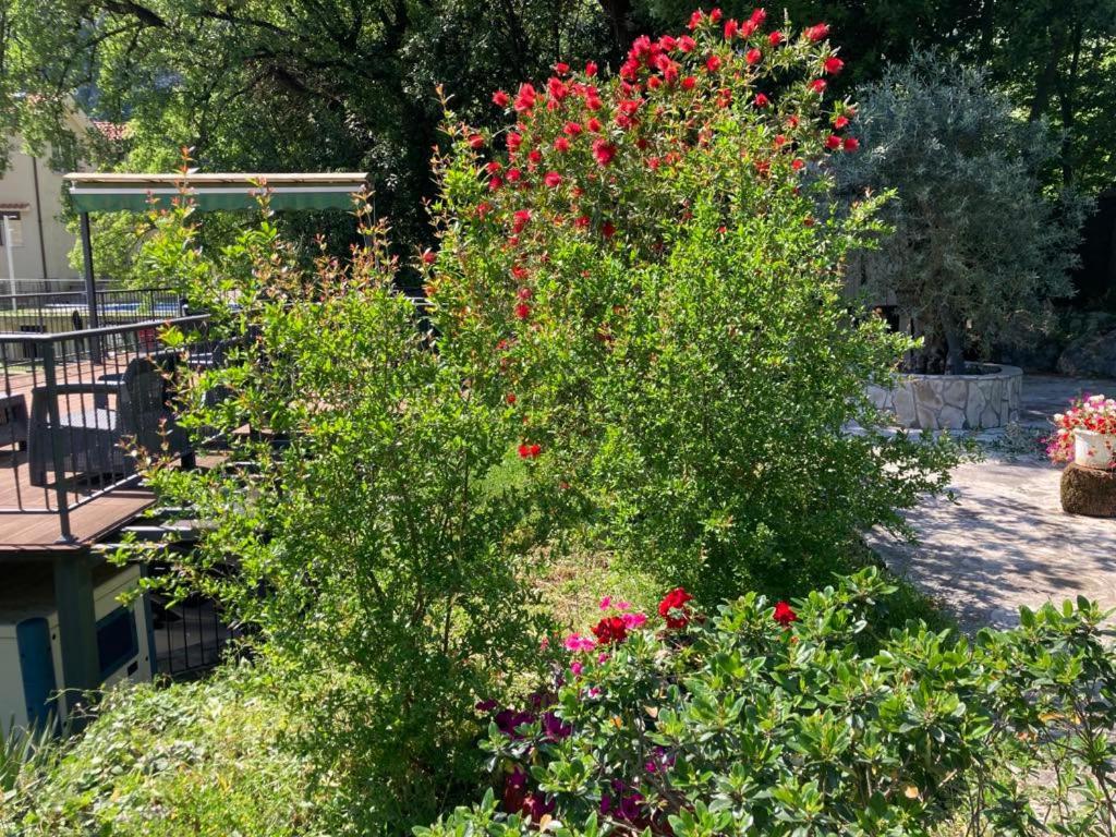 Apartments Villa Eden Котор Экстерьер фото